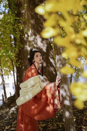 火红年代电视剧演员表